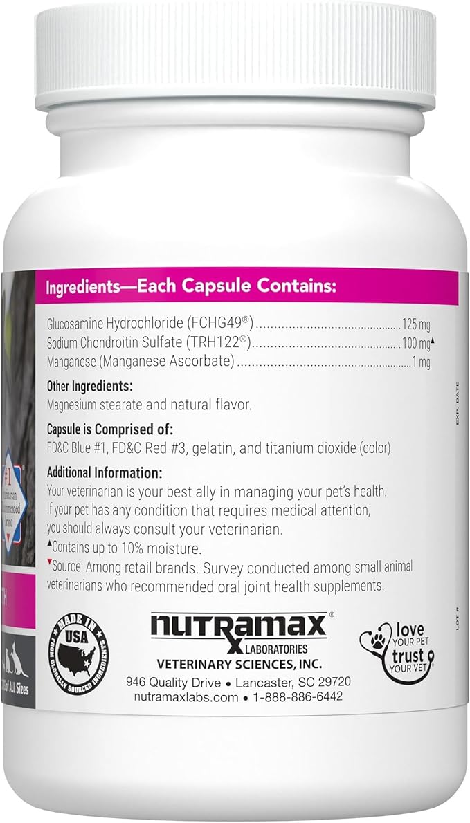 Nutramax Laboratories Cosequin Joint Health Supplement for Cats - With Glucosamine and Chondroitin, 55 Capsules
