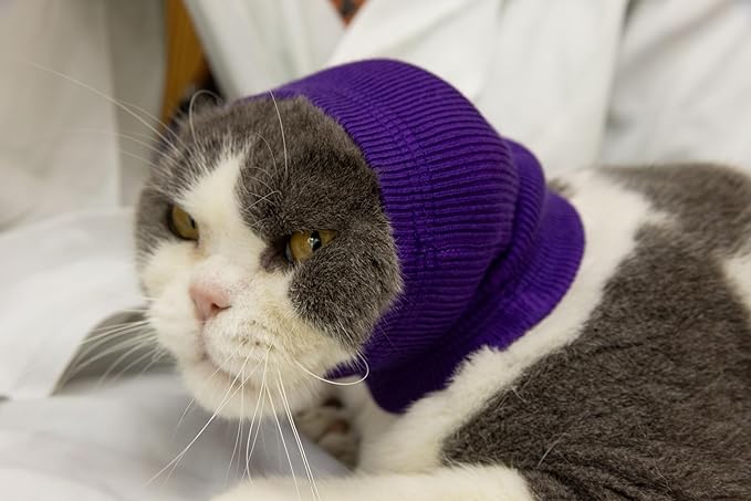 Pet War Flap Head Wrap (2 Pack), No Flap Ear Wrap Cat Small Headband Ears Happy Head Scarf Ear Wrap for Cats Grey+Purple S