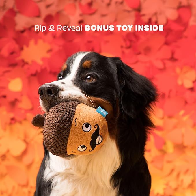 Barkbox 2 in 1 Interactive Plush Dog Toy - Rip and Reveal Dog Toy| Stimulating Squeaky Pet Enrichment and Puppy Toys | Monsieur Acorn | Small Dogs