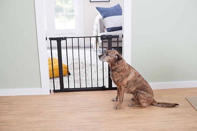 Safety 1st Easy Install 28" Walk Thru Gate, Fits Between 29" and 38"