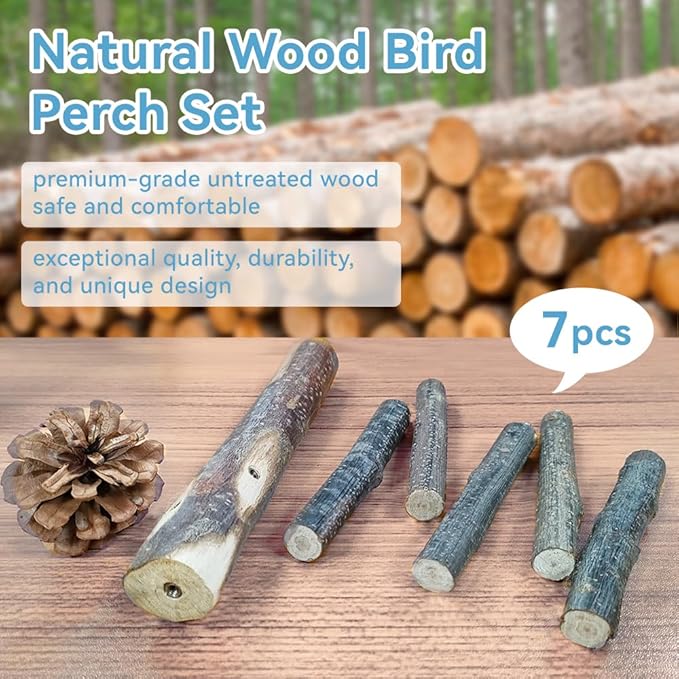 Bird Perch Stand, Portable Tabletop Bird Play Stand Parrot Training Perch for Parakeets Conures Lovebirds or Cockatiels