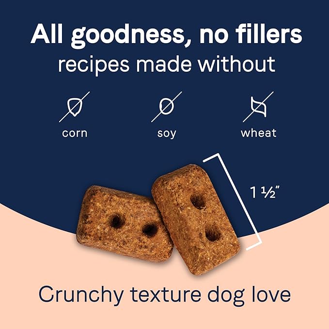 CANIDAE Pure Dog Treat Biscuits with Lamb Liver & Butternut Squash, 11 oz, Grain Free