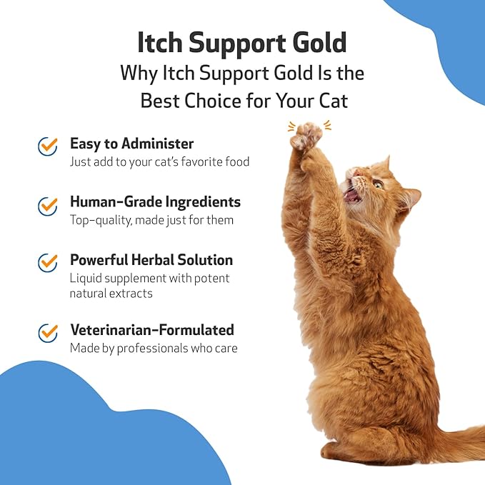 Pet Wellbeing Itch Support Gold for Cats - Vet-Formulated - Itchy Skin & Paws, Hot Spots, Skin Allergies - Natural Herbal Supplement 2 oz (59 ml)