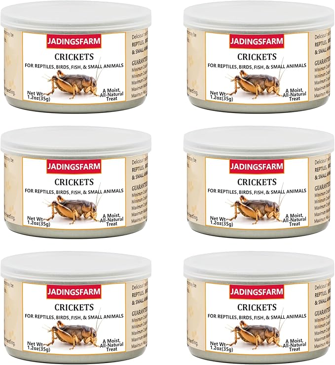 6 Pack Canned Crickets for Reptiles, Fish, Birds and Small Animals, Crickets, Healthy High Protein Treat, Reptile Bird Fish Food 1.2 Ounces Each