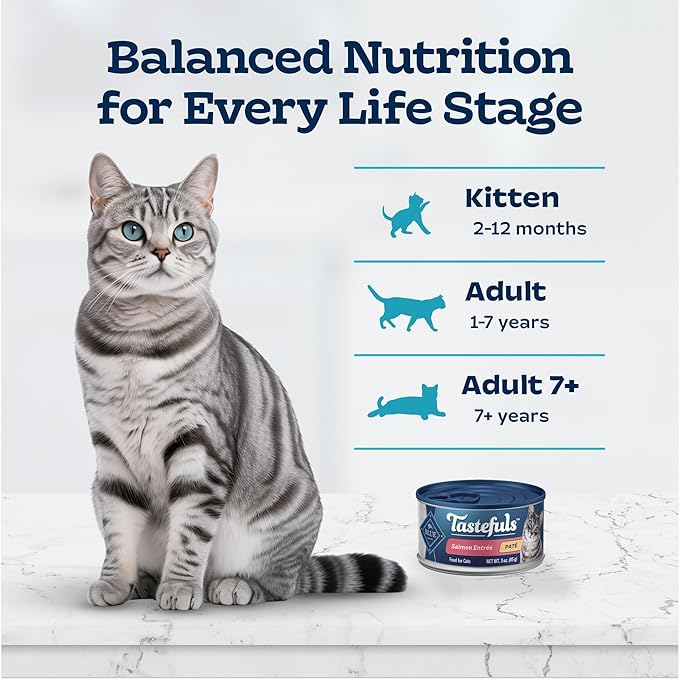 Blue Buffalo Tastefuls Natural Wet Cat Food Cans, Paté Style, Salmon Entrée 3-oz Cans (Pack of 4)