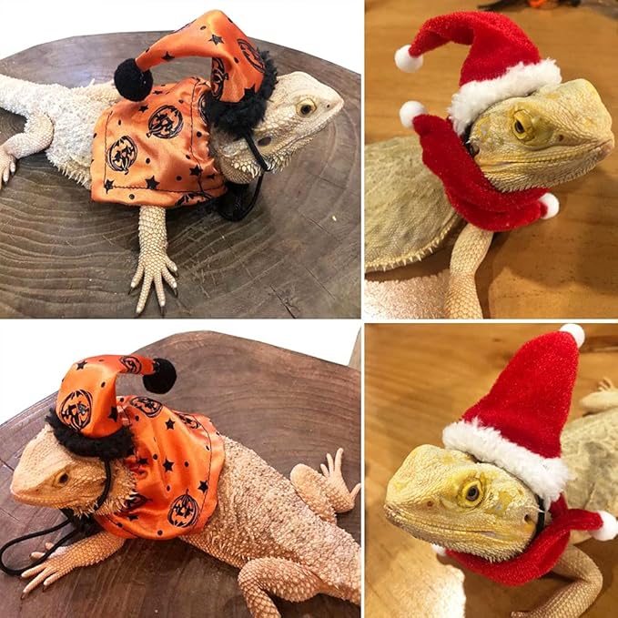 ADOGGYGO Bearded Dragon Halloween Hat Cloak Lizard Christmas Hat Scarf Set, Small Animal Halloween Christmas Festival Costume (Halloween & Xmas)