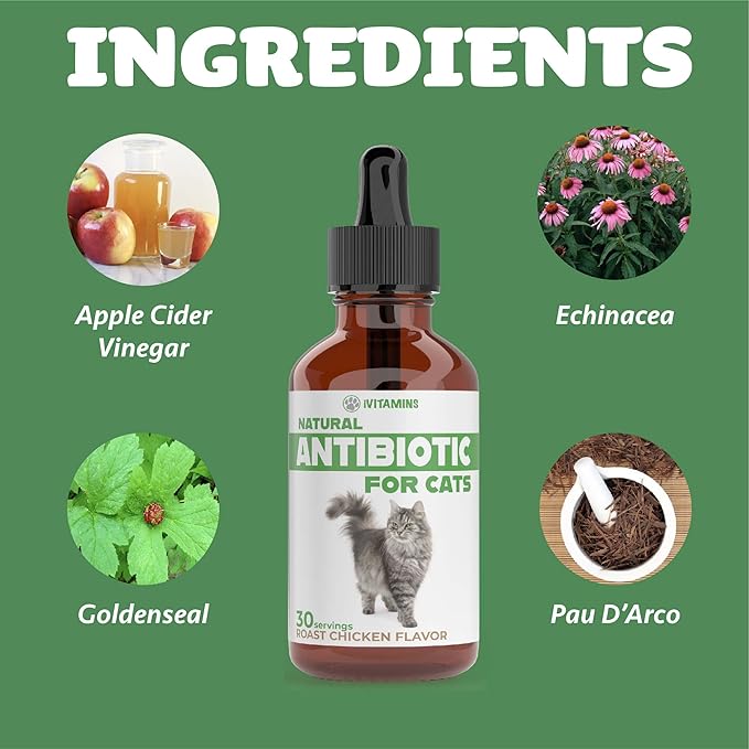 Natural Alternative Cat Antibiotic | Cat Antibiotics | Antibiotics for Cats | Antibiotic for Cats | Cat Antibiotics for UTI | Cat UTI | Cat UTI Treatment | Cat UTI Antibiotics | 1 fl oz (1)