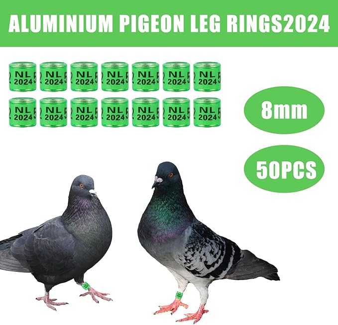 50Pcs Multicolor Aluminium Pigeon Leg Rings with 2024 NL Training Identify Birds Foot Ring Identify 8mm Plastic Bird Leg Bands (Green)