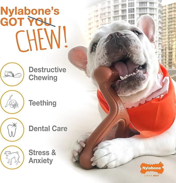 Nylabone 2 Pack of Power Chew Extreme Chewing Braided Bully Stick Alternative Dog Toys, Giant, Made in The USA2