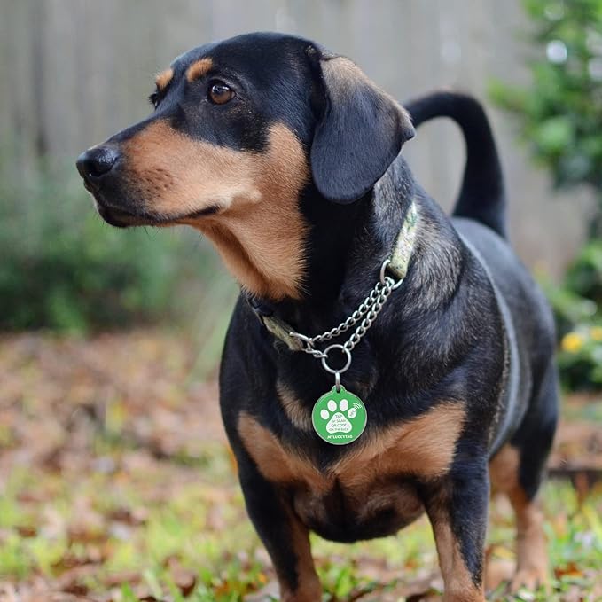 MYLUCKYTAG NFC & QR Code Smart Pet ID Tag Personalized Dog Cat Tag, Online Pet Profile, Pet Location Alert Email, Digital Pet Tag, Quiet Pet Tag, Durable Pet ID, Dog Collar Tag