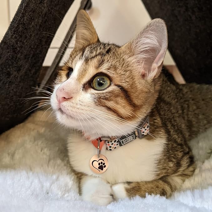 MYLUCKYTAG Stainless Steel QR Code Pet ID Tags Cat Tags - Pet Online Profile - Scan QR Receive Instant Pet Location Alert Email