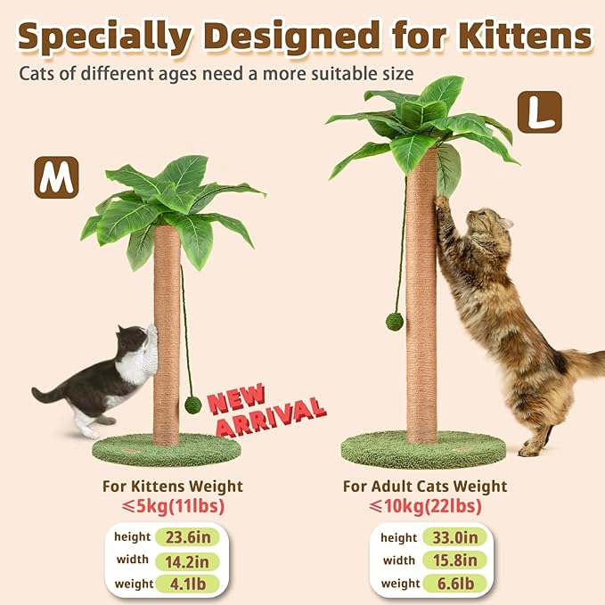 Cat Scratching Post 23.6 inch Cute Cat Scratcher Kitten Scratching Post with Sisal Rope for Indoor Cats Palm Tree Cat Scratching Post with Dangling Balls for Small Cats