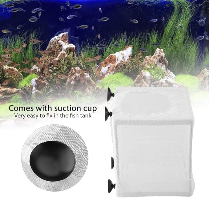 Fish Incubator Mesh Box Fish Isolation Box Aquarium Fish Breeding Box Fish Breeder Net Fry Hatchery Incubator Aquarium Divider Mesh with Suction Cup Isolation Board