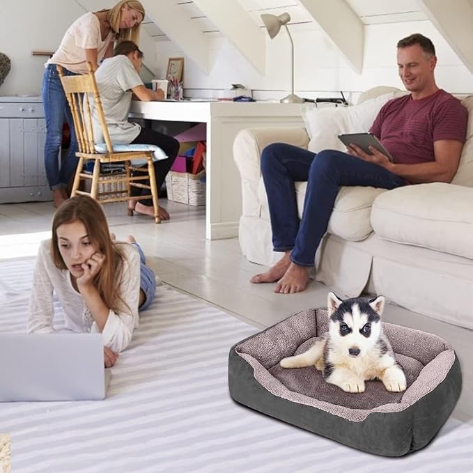 PUPPBUDD Dog Beds for Medium Dogs, Washable Dog Bed Comfortable and Breathable Pet Bed Rectangle Warming Dog Bed for Medium Dogs