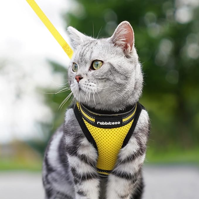 rabbitgoo Cat Harness and Leash Set for Walking Escape Proof, Adjustable Soft Kittens Vest with Reflective Strip for Cats, Comfortable Outdoor Vest, Bright Yellow, M