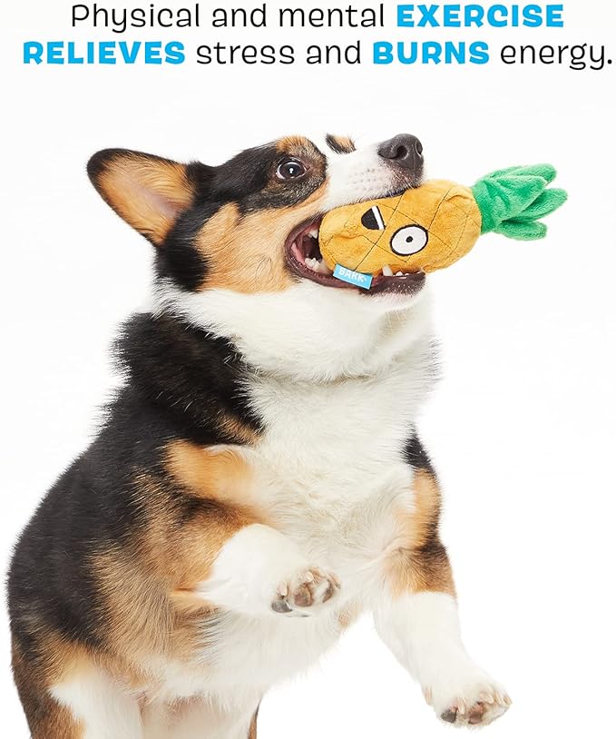 Barkbox 2 in 1 Interactive Plush Dog Toy - Rip and Reveal Dog Toy for Small Dogs - Stimulating Squeaky Pet Enrichment and Puppy Toys | Penny The Pineapple| Small Dogs