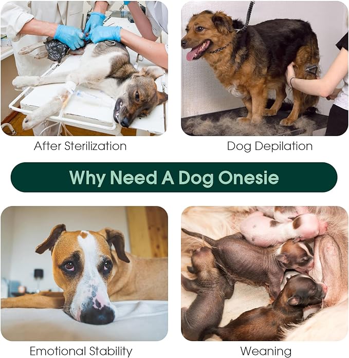 Kuoser Dog Surgery Recovery Suit, Recovery Suit for Female Male Dogs, Dog Onesie After Surgery Spay Neuter, Anti-Licking Pet Surgical Recovery Snugly Suit, Bodysuit for Abdominal Wounds Skin Disease
