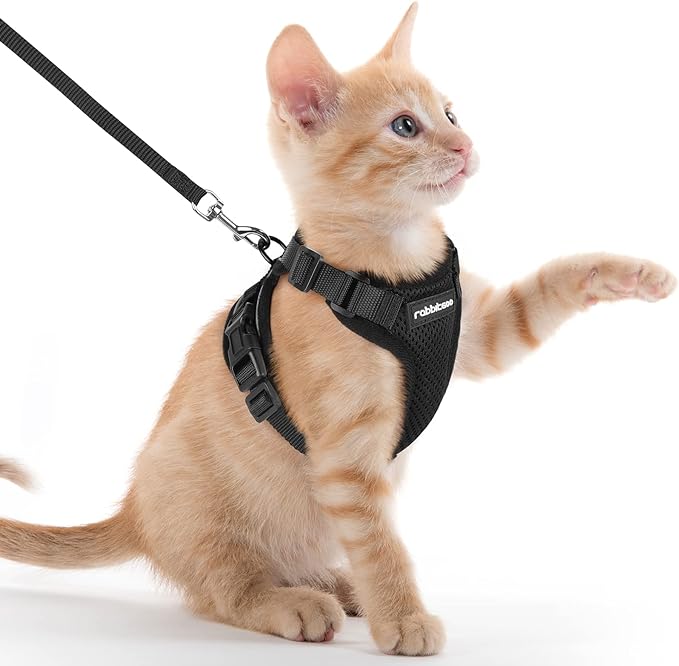 rabbitgoo Cat Harness and Leash for Walking, Escape Proof Soft Adjustable Vest Harnesses for Cats, Easy Control Breathable Reflective Strips Jacket, Black, XXS