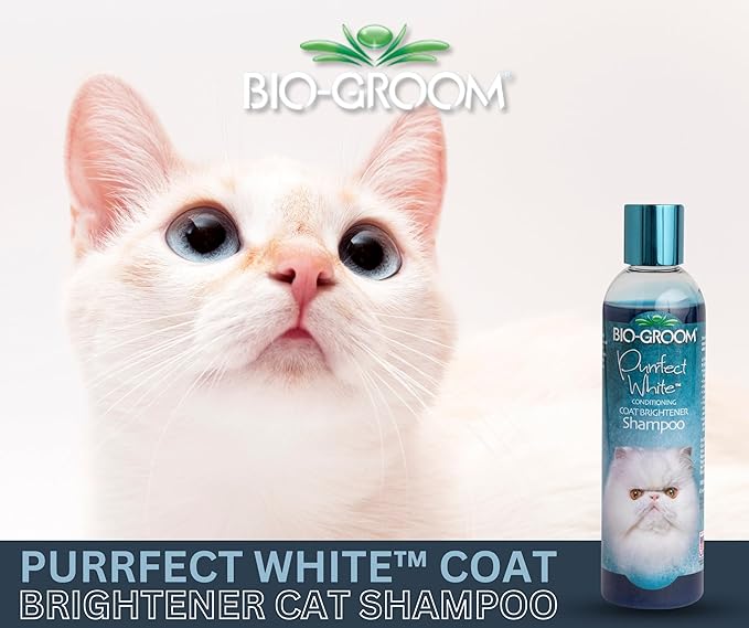 Bio-Groom Purrfect White Cat Shampoo – Color Enhancing Pet Shampoo, Cat Bathing Supplies, Kitten Wash, Cat Grooming Supplies, Cruelty-Free, Made in USA, Coat Brightener Shampoo – 8 fl oz 1-Pack