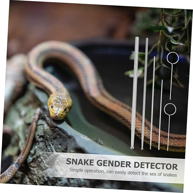 12 Pcs Snake Probe Snake Gender Detector Portable Reptiles Probe Snake Sexing Snake Probe Metal Gender Probe Reptile Supplies Stainless Steel Probe Snake Sexing Probe