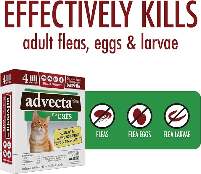 Plus Flea Prevention For Cats, Cat and Kitten Treatment & Control, Small and Large, Fast Acting Waterproof Topical Drops, 4 Month Supply