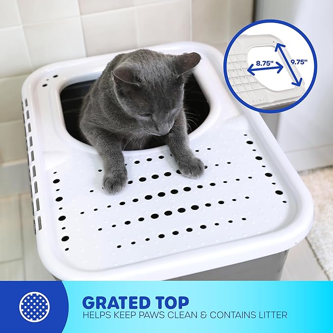 Petmate Top Entry Litter Cat Litter Box With Filter Lid To Clean Paws, Made in USA