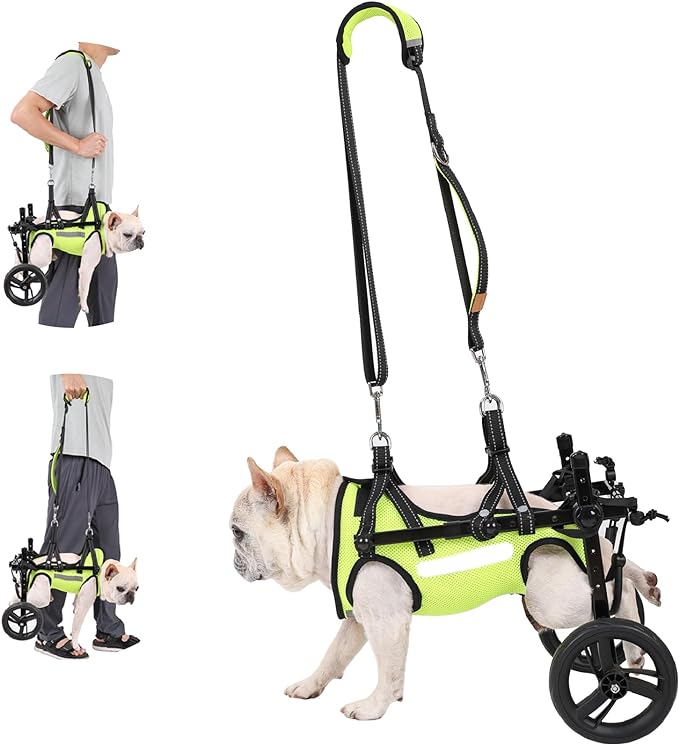 𝑵𝑬𝑾 Adjustable Dog Wheelchair With High-visibility Clothing, Dog Leash, Sling Lift Dog Wheelchair for Back Legs, Max 22 Pound, Wheelchair for paralyzed Injured Lame Disabled Handicapped Dogs -M