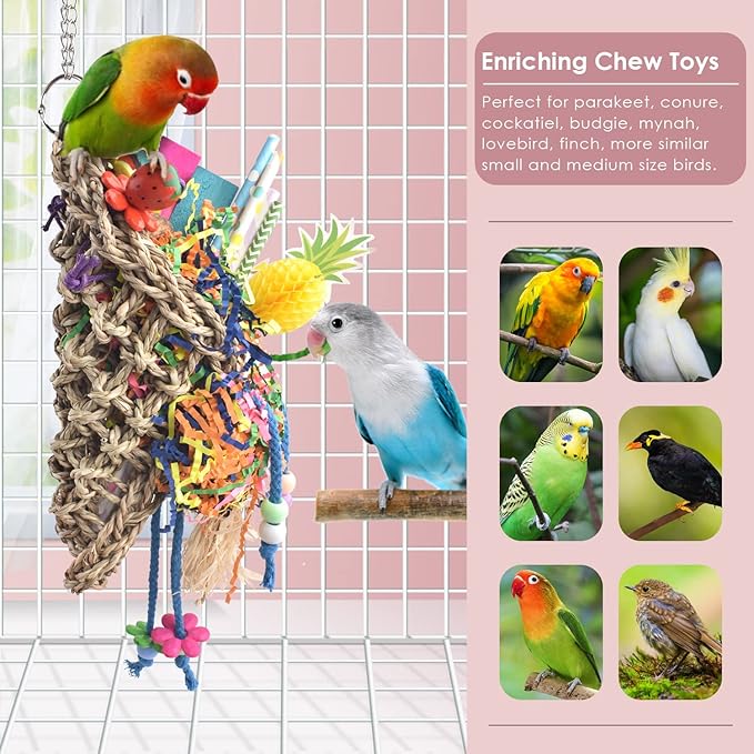 KATUMO Bird Toys, Seagrass Basket Bird Toy with Array of Chewable Parrot Foraging Toys for Small Medium Parrot Birds