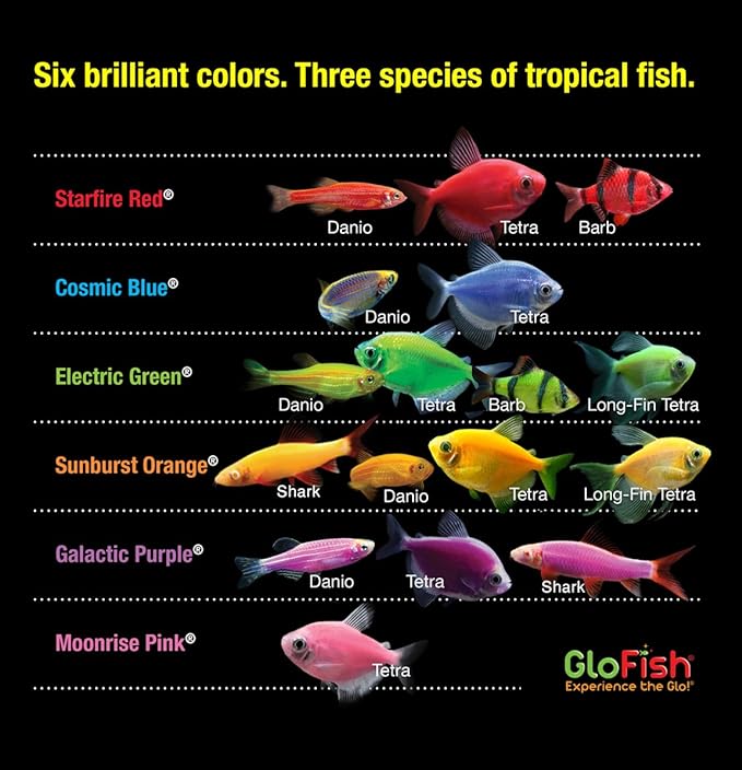 GloFish 20 Gallon Aquarium Kit with LED Lights, Decor Heater and Filter