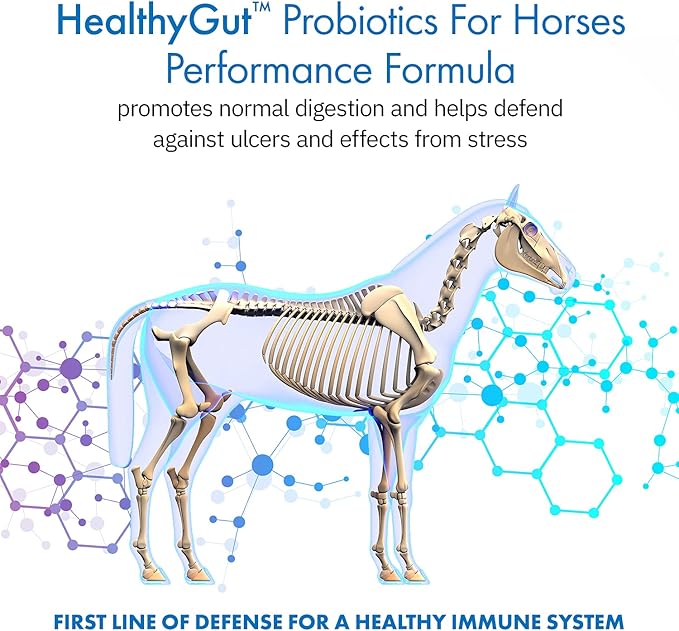 HealthyGut™ Probiotics for Horses Dietary Supplement, All-Natural Digestive System Performance Formula (90 Days)