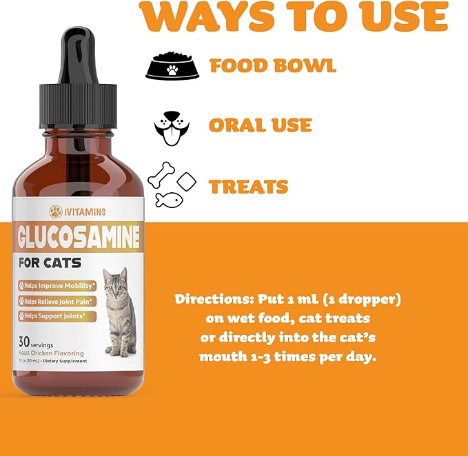 Glucosamine for Cats | Cat Glucosamine | Glucosamine for Cats Liquid | Cat Joint Supplement | Joint Supplement for Cats | Cat Joint Pain Relief | Joint Support for Cats | 1 fl oz: Chicken Flavor