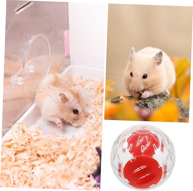 6 Pcs Small Hamster Sports Ball Exercise Balls for Guinea Pig Small Hamster Ball Dwarf Hamster Exercise Balls Chinchilla Running Balls Hamster Running Balls Guinea Pig Ball