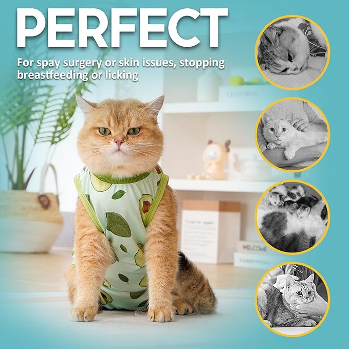 Avont Cat Recovery Suit, Cat Onesie for Cats After Spay Surgery Healing, Cat E-Collar Cone Alternative for Surgical Recovery Skin Diseases -Avocado(S)