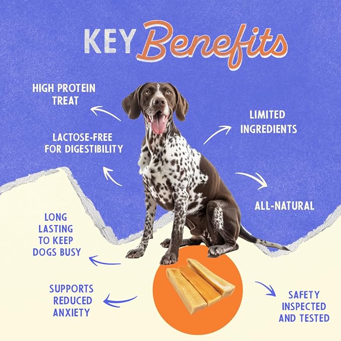 Himalayan Dog Chew Original Yak Cheese Dog Chews, 100% Natural, Long Lasting, Gluten Free, Healthy & Safe Dog Treats, Lactose & Grain Free, Protein Rich, Large, Dogs 65 Lbs & Smaller