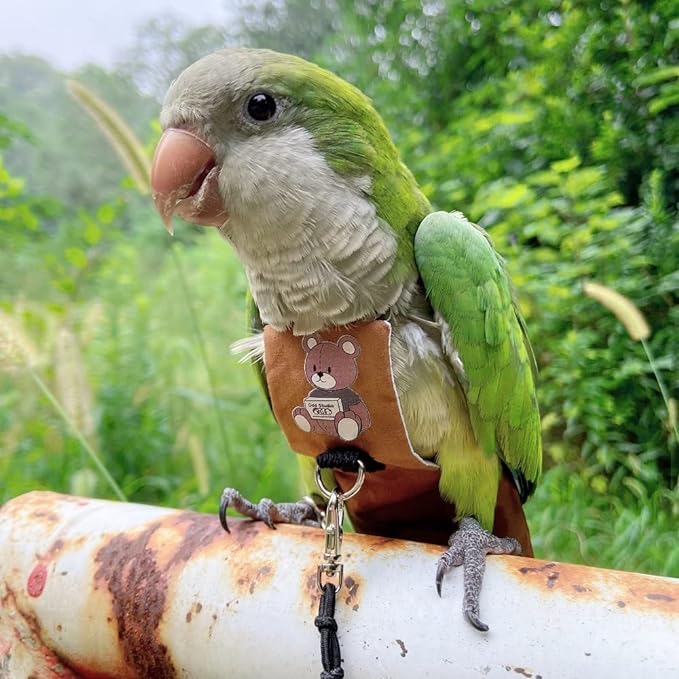 Bird Diaper Harness Flight Suit Clothes, Parrot Flight Suit with Leash for Parrot, Bird Flying Clothes with Rope and Handle for Outdoor Activities Training (Without Leash,Green-cheeked Conure)