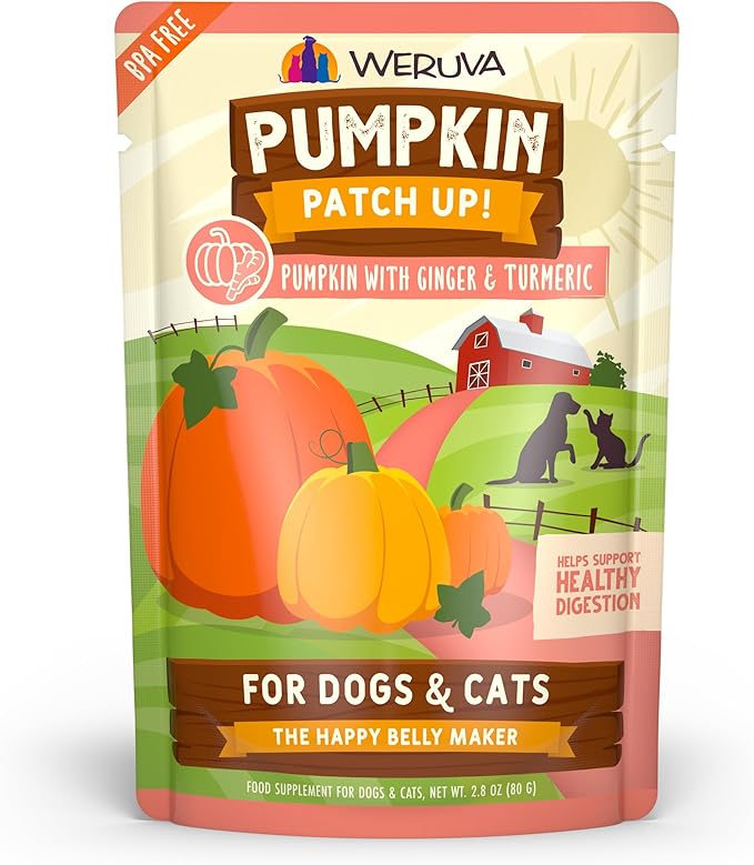 Weruva Pumpkin Patch Up!, Pumpkin with Ginger & Turmeric for Dogs & Cats, 2.8oz Pouch (Pack of 12)