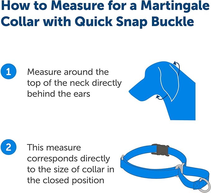 PetSafe Martingale Collar with Quick Snap Buckle, 1" Large, Black