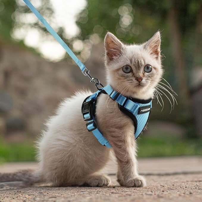 rabbitgoo Cat Harness and Leash for Walking, Escape Proof Soft Adjustable Vest Harnesses for Cats, Easy Control Breathable Reflective Strips Jacket, Light Blue, XXS