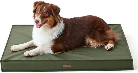 Lesure Waterproof Dog Bed for Medium Dogs - Outdoor Dog Bed with Oxford Fabric Surface, Medium Egg Orthopedic Foam Pet Bed with Removable and Durable Cover, Machine Washable