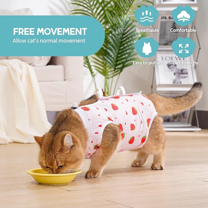 Avont 2 Pack Cat Recovery Suit - Kitten Onesie for Cats After Surgery, Surgical Spay Recovery Suit Female for Abdominal Wounds or Skin Diseases Protection -Cherry/Strawberry(M)