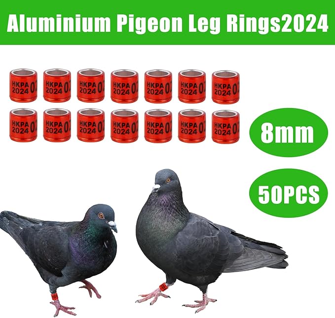 50Pcs Aluminium Pigeon Leg Rings with 2024 HKPA Training Identify Birds Leg Ring for Pigeon Quail Parrot(8mm Red)