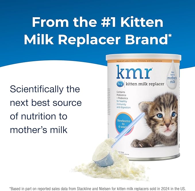 Pet-Ag KMR Kitten Milk Replacer Powder - 12 oz - Powdered Kitten Formula with Prebiotics, Probiotics & Vitamins for Kittens Newborn to Six Weeks Old - Easy to Digest