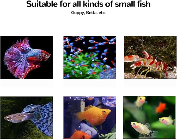 J-star Large Fish Breeder Box, Acrylic Aquarium Breeder Box, Fish Isolation Box for Betta, Guppy, Killifish, Shrimp, Clownfish etc.