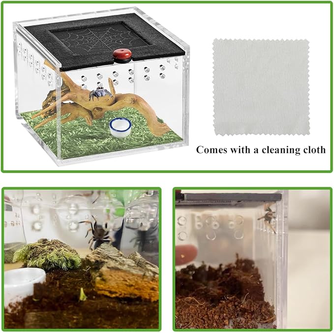 Acrylic Jumping Spider Enclosure,Spider Terrarium with Sunken Wood and Sod,Spider Box with Water Bowl Arboreal Tarantula Enclosure Jumping Spider Habitat for Spiders and Small Insects