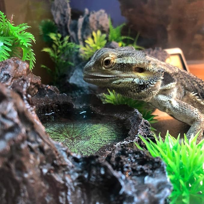 Reptile Tank Accessories Habitat Water Dish Tree Trunk and Artificial Arched Rock Bridge for Bearded Dragon Leopard Gecko Lizard Snake Chameleon Hermit Crab Ball Python Water Frog Turtle