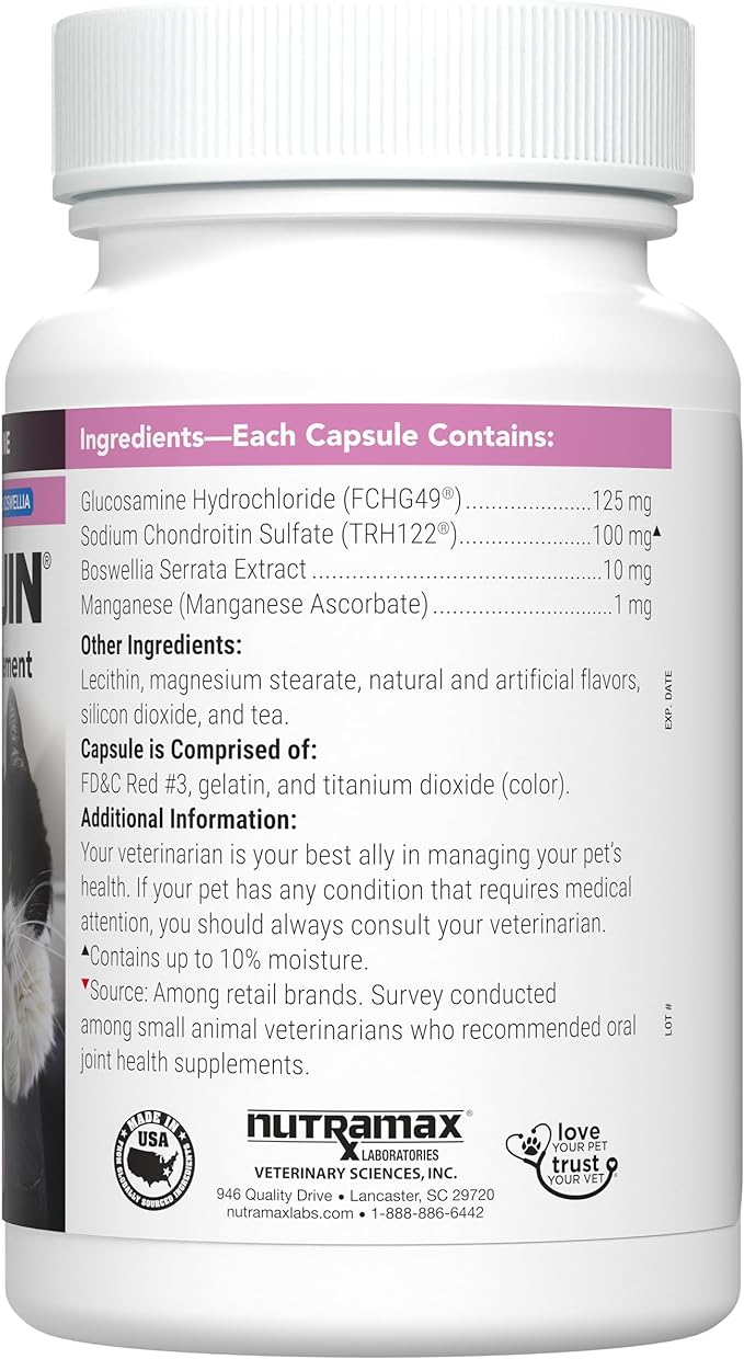 Nutramax Laboratories Cosequin® for Cats Maximum Strength PLUS Boswellia Capsules - Professional Line,Beige,60 Count (Pack of 1)