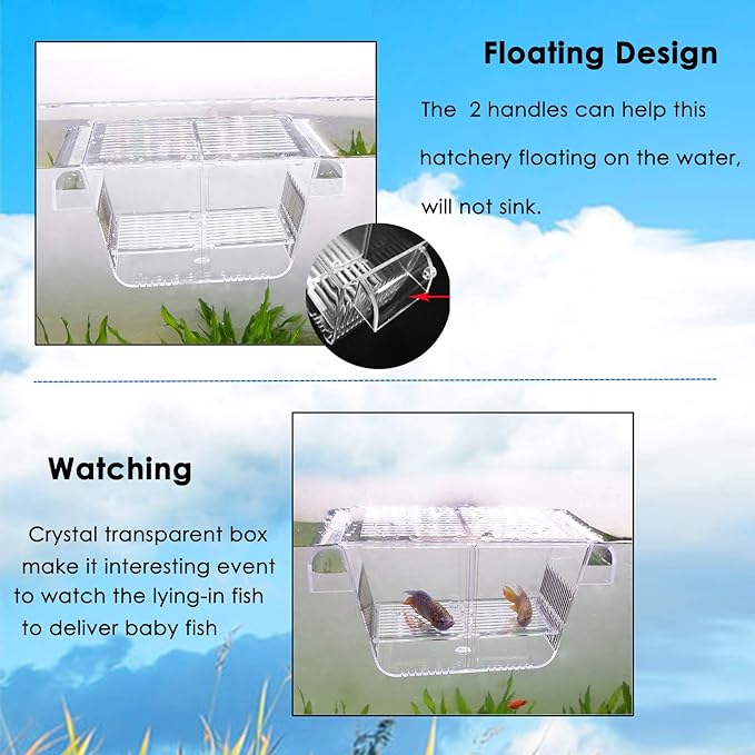 capetsma Fish Breeding Box, Acrylic Fish Isolation Box with Suction Cups, Aquarium Acclimation Hatchery Incubator for Baby Fishes Shrimp Clownfish and Guppy... Small Size (S)