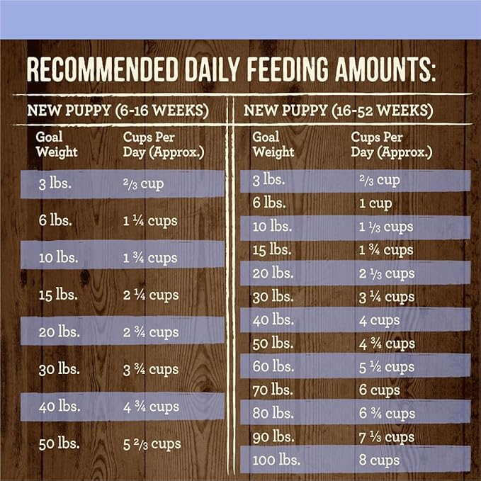 Merrick Dry Puppy Food, Real Chicken and Sweet Potato Grain Free Dog Food Recipe - 10 lb. Bag