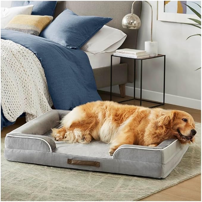 Friends Forever Orthopedic Dog Bed, Bolster Dog Bed with Memory Foam Dog Couch Sofa and Removable Washable Cover, Ally Grey, 42x32x7