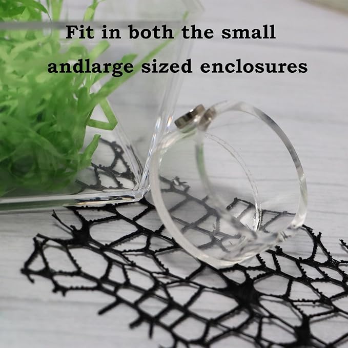 Jumping Spider Feeding Dish, Magnetic Tiny Food Dishes Water Dish for Jumping Spider, Tarantula and Other Small Pets,Transparent